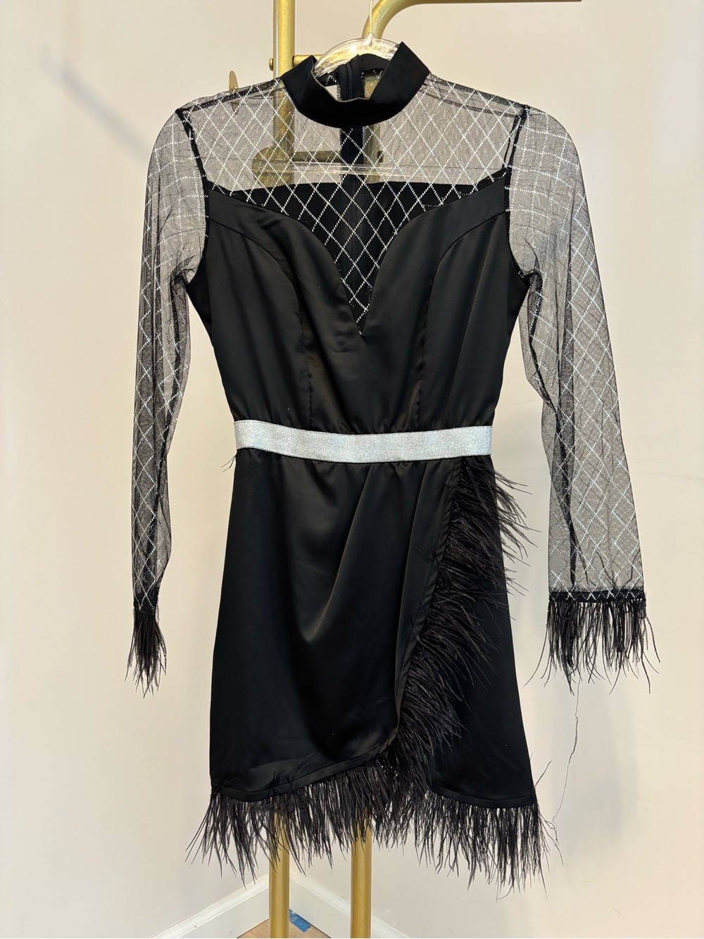 Black Feather-Trim Mesh Sleeve Dress